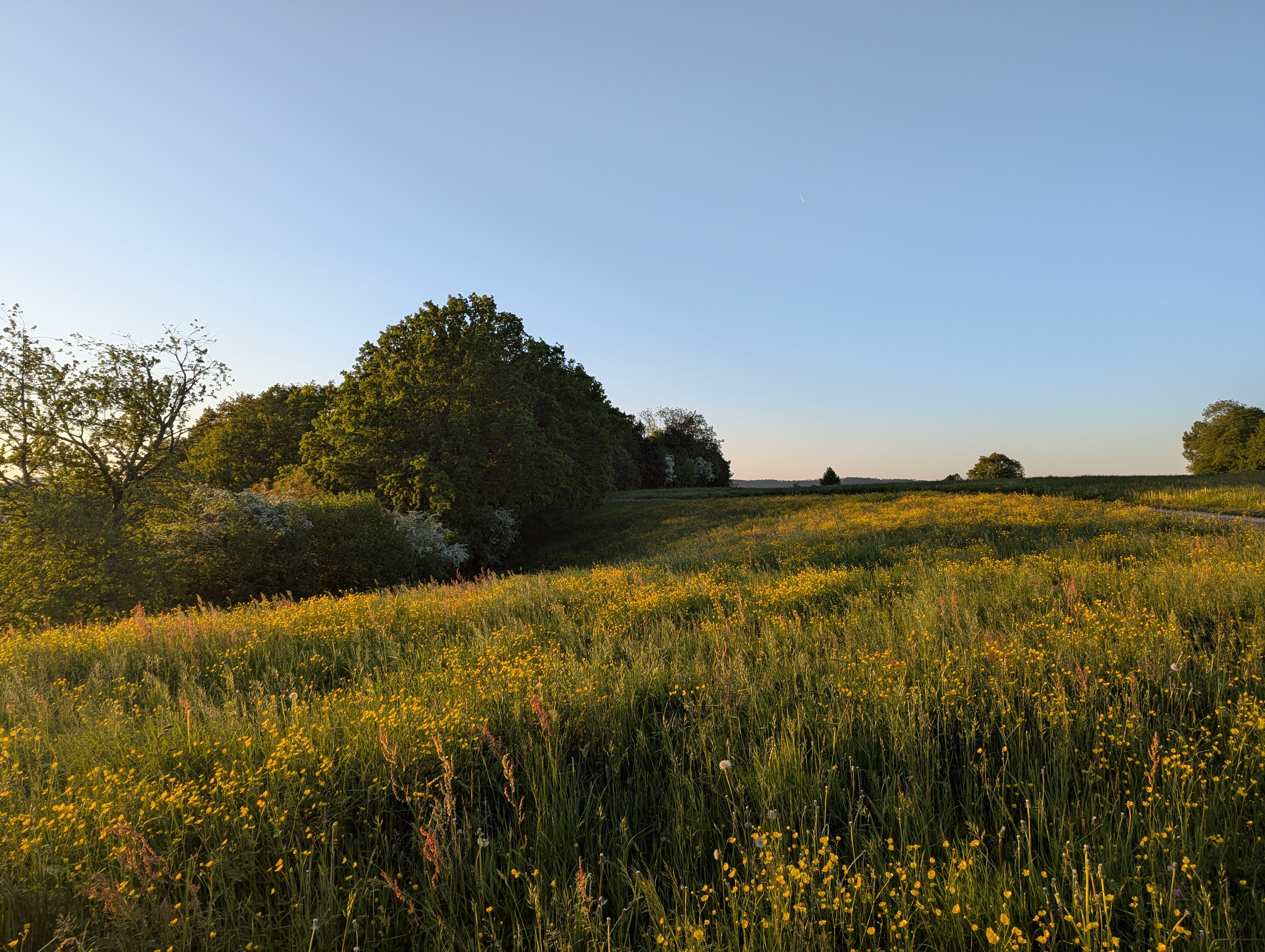 landscape.jpg
